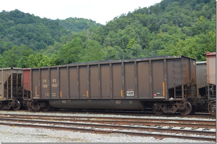 Wells Fargo Rail (FURX), fka First Union Rail, tub 960450. 4358 cu ft, 241,800 load limit, build 03-1995. Shelby KY 08-12-2018.