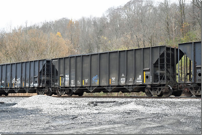 These were on a westbound manifest freight at Ivel KY, and appeared to be loaded with petroleum coke or stoker coal. 11-18-2023. TRLX 78181.