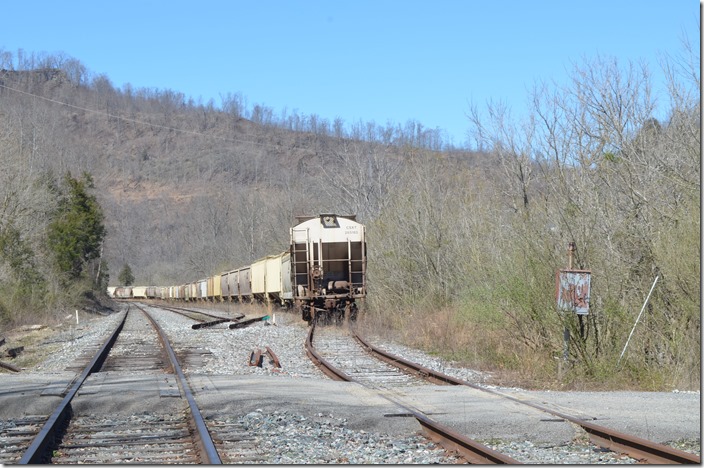 On up the Coal Run Sub. at Sawmill Yard, CSX has stored a bunch of out-of-work grain covered hoppers. 03-16-019. Sawmill KY.