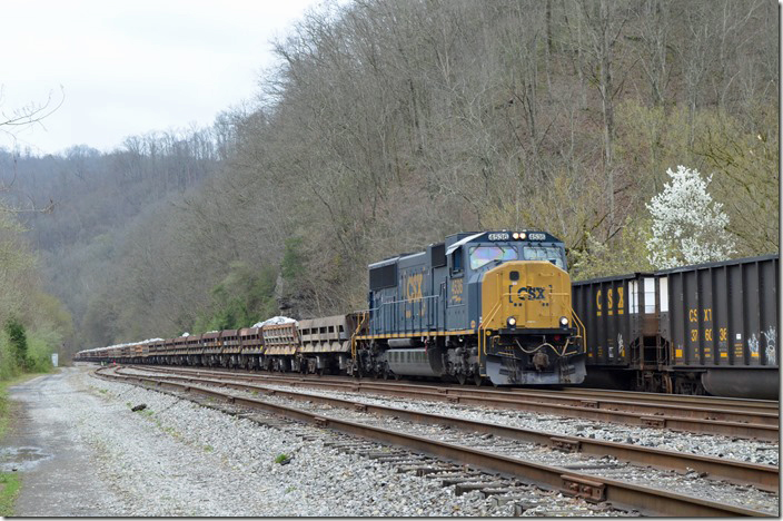 CSX SD70MAC 4536 heads work train W049 w/b at Ivel KY on 03-21-2020.