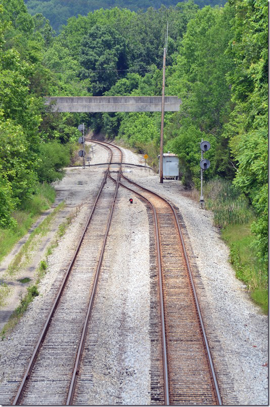 Looking north at “Irvine” toward Patio. 06-12-2021. CSX signal. Ravenna KY.