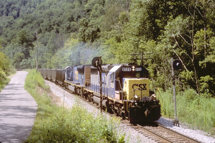 CSX 8125-4819 get a clear signal at South Coolidge (block signal 256).