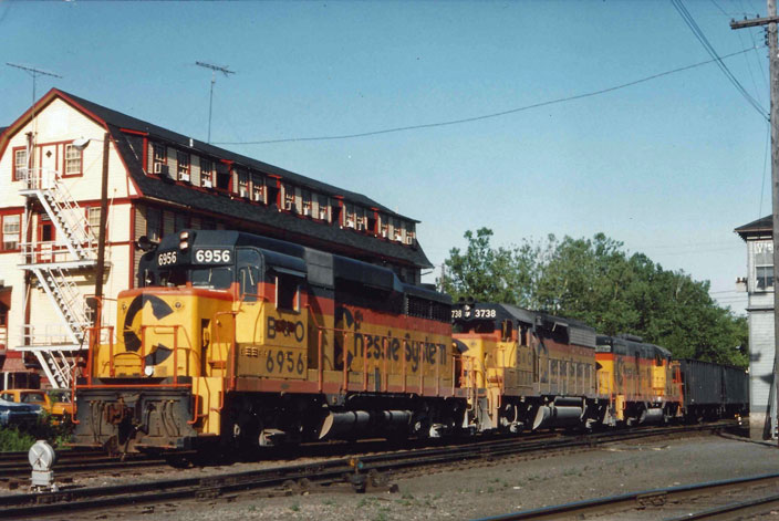 1975 July. Chessie 6956, 3738, and others. Hancock MD.