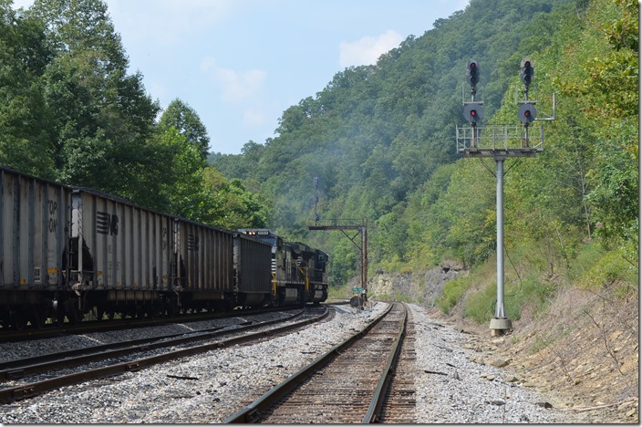 NS 1055-9564 Pine Oaks. View 3.