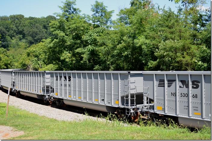 This train and the engines were destined for Shire Oaks PA on the Mon Line. They were rolling at 45 or so, and I knew it would take US 11 and I-81 to get ahead. NS hopper 53068 Natural Bridge.