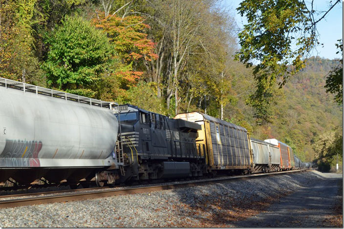 NS 8071 DPU. View 2. Cedar WV.