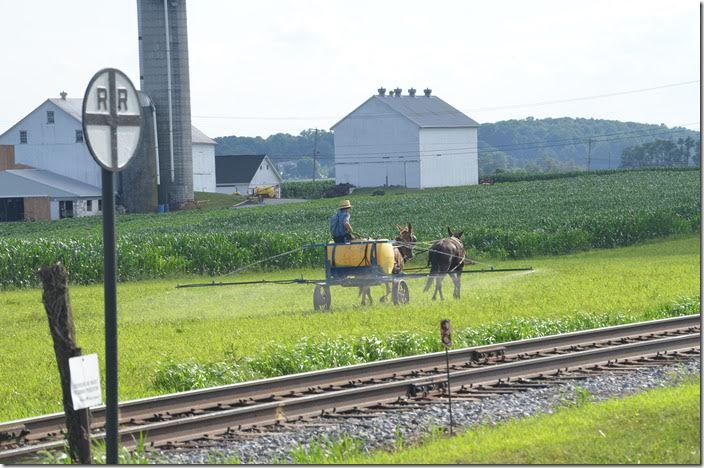 Amish farmer near Strasburg.