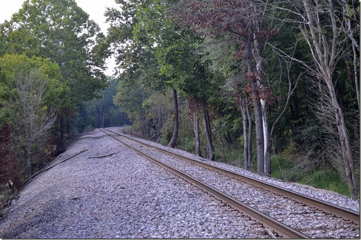 Looking north on NS Lynnville Branch from Turpin Hill Rd.