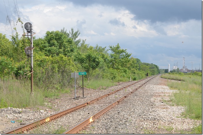 NS near Warren OH. Pine. To the south.