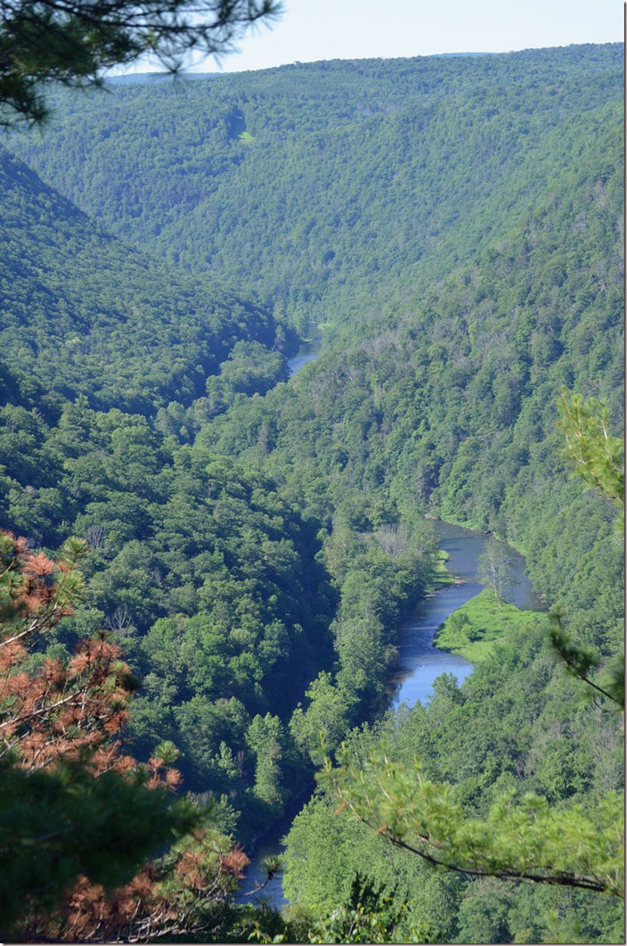 Telephoto looking down (south) toward Avis, Jersey Shore, and Newbury. Pine Creek Gorge PA.