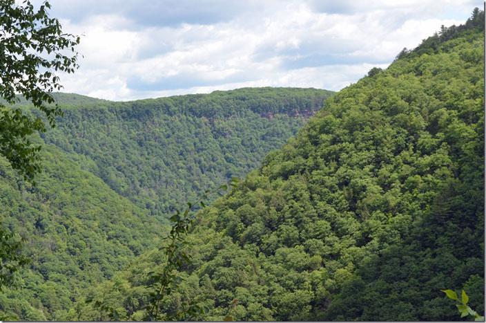 Looking north. Pine Creek Gorge PA.